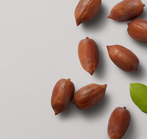 INGREDIENT - EXTENSIONS_0000_Jojoba Beads